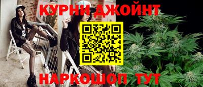 гашик Будённовск