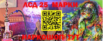 гашик Будённовск