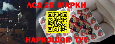 гашик Будённовск