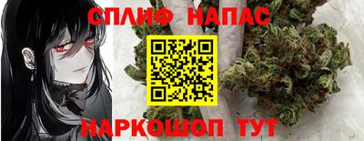 гашик Будённовск