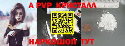 гашик Будённовск