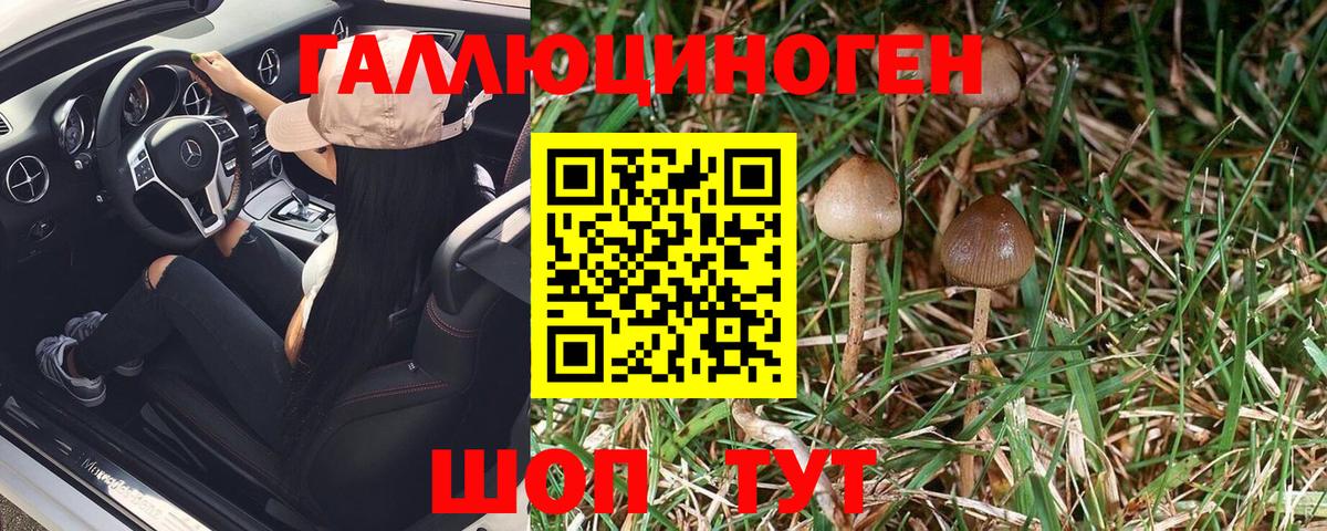Галлюциногенные грибы Magic Shrooms  Вход с VPN  Топки 